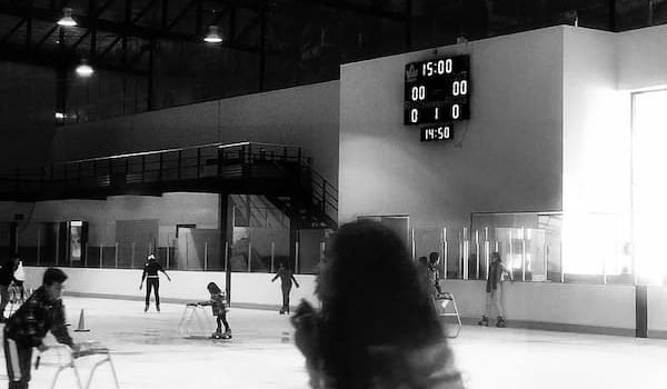 ICEDOME