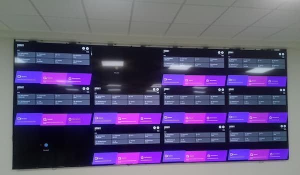 CFE, Jalisco