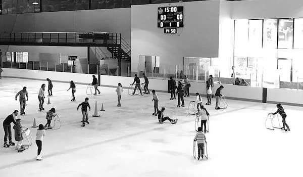 ICEDOME